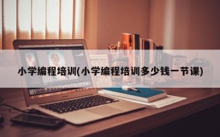 小学编程培训(小学编程培训多少钱一节课)