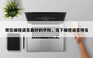 现在编程语言最好的学校，当下编程语言排名
