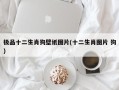 极品十二生肖狗壁纸图片(十二生肖图片 狗)