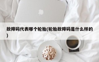故障码代表哪个轮胎(轮胎故障码是什么样的)