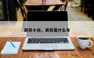 吴锐小说，吴锐是什么车