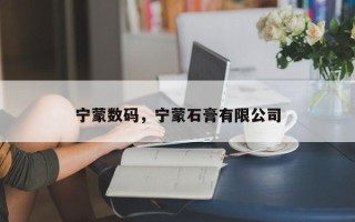 宁蒙数码，宁蒙石膏有限公司
