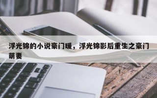 浮光锦的小说豪门暖，浮光锦影后重生之豪门萌妻
