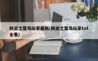 网游之菜鸟玩家最新(网游之菜鸟玩家txt全集)