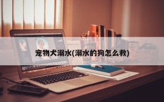 宠物犬溺水(溺水的狗怎么救)