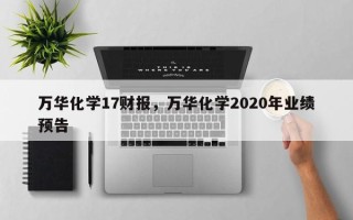 万华化学17财报，万华化学2020年业绩预告