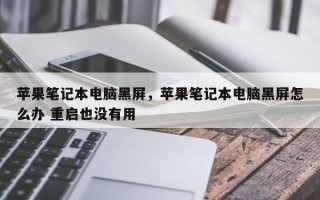 苹果笔记本电脑黑屏，苹果笔记本电脑黑屏怎么办 重启也没有用