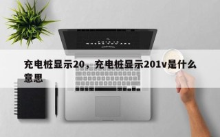 充电桩显示20，充电桩显示201v是什么意思