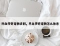 热血传奇宠物收割，热血传奇宠物怎么休息