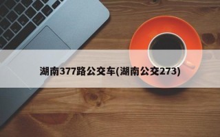 湖南377路公交车(湖南公交273)