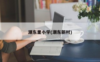 潮东里小学(潮东新村)