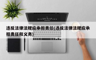 违反法律法规应承担责任(违反法律法规应承担责任和义务)