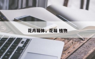 花卉箱体，花箱 植物