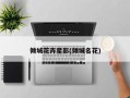 倾城花卉星影(倾城名花)